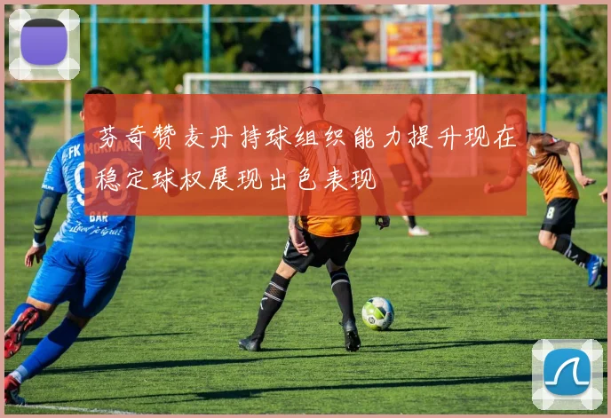芬奇赞麦丹持球组织能力提升现在稳定球权展现出色表现