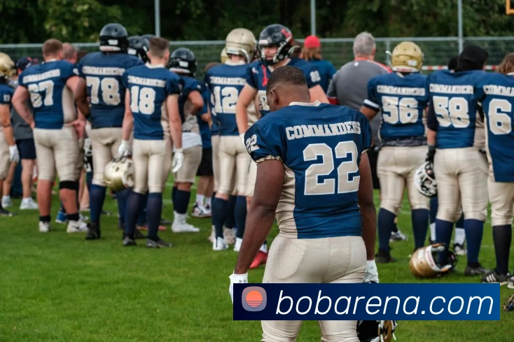 BOB体育APP 封面图